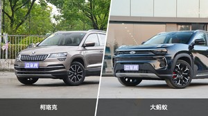 柯珞克和大蚂蚁怎么选? 哪款车尺寸更大?