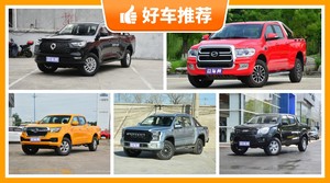 5座皮卡17万左右哪款好?大将军G9动力、舒适性表现最强,瑞迈油耗、操控表现最强