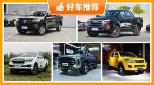 5座皮卡30万左右哪款好?要大空间,还要动力强,购车指数为你指路