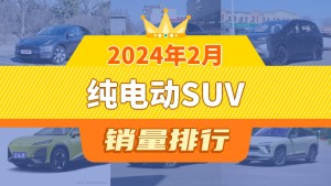 2024年2月纯电动SUV销量：Model Y夺冠，悦虎跻身第九