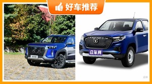 长安皮卡车型11万左右推荐,耐用又实惠的车,买车的朋友看过来