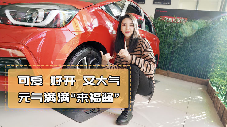 飞度姊妹车,元气满满LIFE来福酱