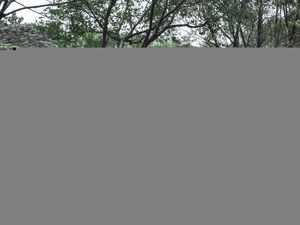 就爱两厢 2015年12月高销量小型两厢车