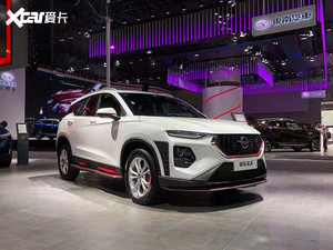 2019广州车展：海马8S运动版正式发布
