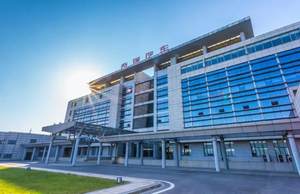 2019逆势上涨 奇瑞收获了那些意想不到的惊喜