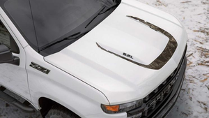 皮卡也有个性 索罗德Realtree特别版官图