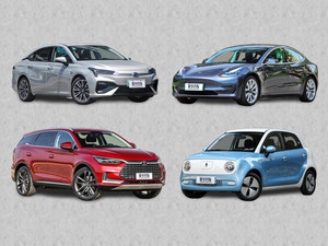 指标到手买啥车？不同价位纯电动车推荐