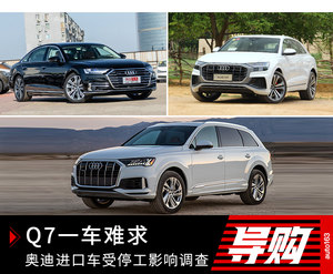 Q7一车难求 奥迪进口车受停工影响调查