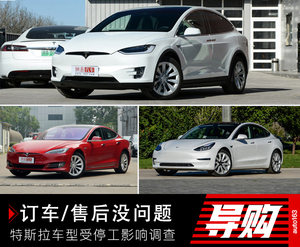 订车售后没问题 特斯拉车型受停工影响调查
