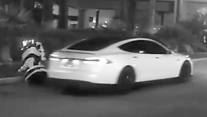 特斯拉深夜“宕机”