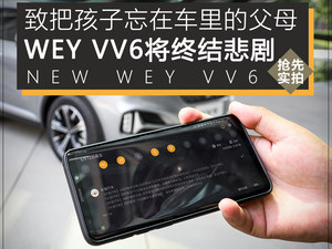 可检测车内生命体 实拍2021款WEY VV6