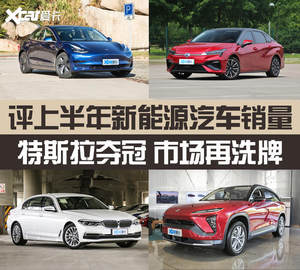 第一名毫无悬念 上半年新能源销量点评