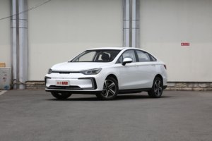 续航立新高 2020款BEIJING-EU5补贴后12.99万起