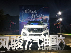 长城皮卡风骏7汽油版上市 售8.68万起