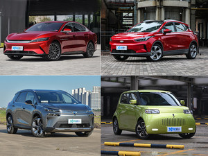 新增2万新能源指标后 我该选择哪款车