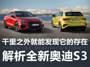 不再低调行事 解析全新一代奥迪S3官图