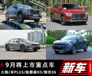 哈弗大狗和新K5凯酷等 9月上市新车前瞻