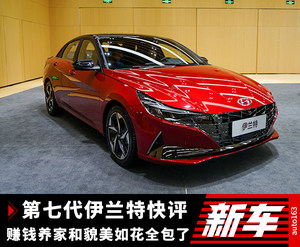 赚钱养家和貌美如花 第七代伊兰特说我全包了