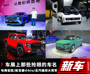 初恋/大将军/小Biu 这些新车名字太抢眼球