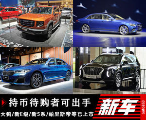 持币待购者可下单 大狗等20余款新车车展上市