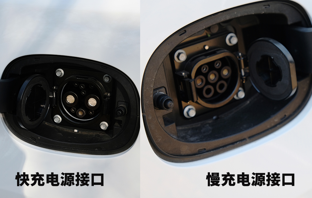 哆啦A“猫”的百宝袋里都有啥？实拍欧拉白猫