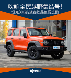 你买我推荐 有钱我也买！坦克300怎么选