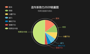 2020造车新势力销量出炉：从三打一到六打一