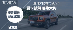 2.0T+四驱+后锁 不到17万！试大狗2.0T