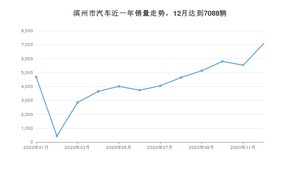 12月滨州市汽车销量数据统计 宏光MINI EV排名第一(2020年)