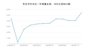 枣庄市12月汽车销量 宏光MINI EV排名第一(2020年)