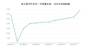 连云港市12月汽车销量 宏光MINI EV排名第一(2020年)
