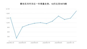 攀枝花市12月汽车销量统计 哈弗H6排名第一(2020年)