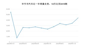 毕节市12月汽车销量数据发布 五菱宏光排名第一(2020年)