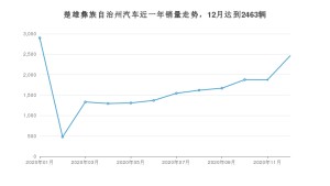 楚雄彝族自治州12月汽车销量统计 五菱宏光S3排名第一(2020年)