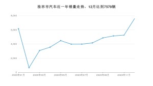 桂林市12月汽车销量统计 宏光MINI EV排名第一(2020年)
