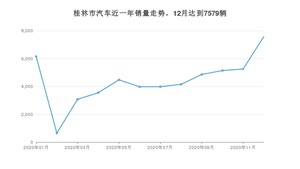 桂林市12月汽车销量统计 宏光MINI EV排名第一(2020年)