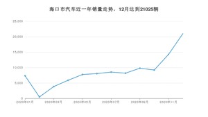 12月海口市汽车销量情况如何? 宏光MINI EV排名第一(2020年)