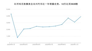 红河哈尼族彝族自治州12月汽车销量统计 宏光MINI EV排名第一(2020年)