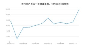 柳州市12月汽车销量统计 新宝骏E300排名第一(2020年)