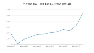 12月三亚市汽车销量情况如何? 科沃兹排名第一(2020年)