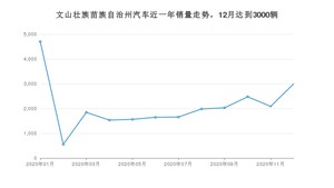 文山壮族苗族自治州12月汽车销量 五菱宏光S3排名第一(2020年)