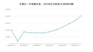 五菱销量12月份怎么样? 众车网权威发布(2020年)