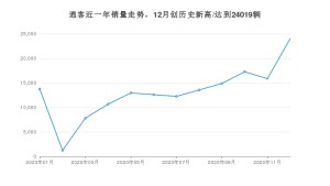 逍客12月份销量数据发布 共24019台(2020年)