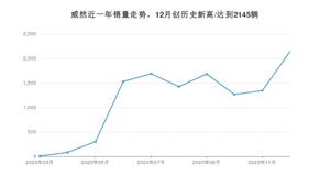 威然12月份销量数据发布 共2145台(2020年)