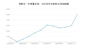探影12月份销量数据发布 共5086台(2020年)