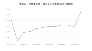 智跑12月份销量数据发布 共11152台(2020年)