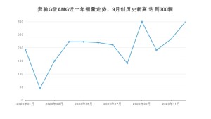 奔驰G级AMG12月份销量数据发布 共300台(2020年)