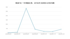 微蓝712月份销量数据发布 共85台(2020年)
