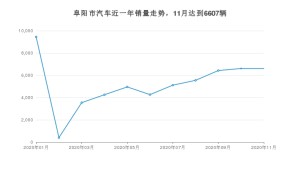 阜阳市11月汽车销量数据发布 宏光MINI EV排名第一(2020年)