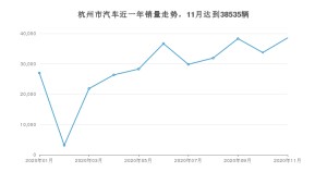 11月杭州市汽车销量数据统计 Model 3排名第一(2020年)